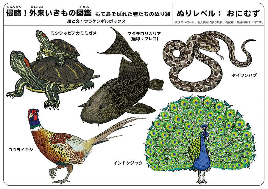 #外来いきもの図鑑 の塗り絵ですが、鬼ムズが鬼ムズすぎてどう塗ればいいのか全くわからん。という声をいただいたので、それもそうだと塗り見本を作りました。僕もディフォルメしているので、あくまで見本として使っていただければと思います。
https://t.co/5zfzp2k0ES #イラストレーターにできること 