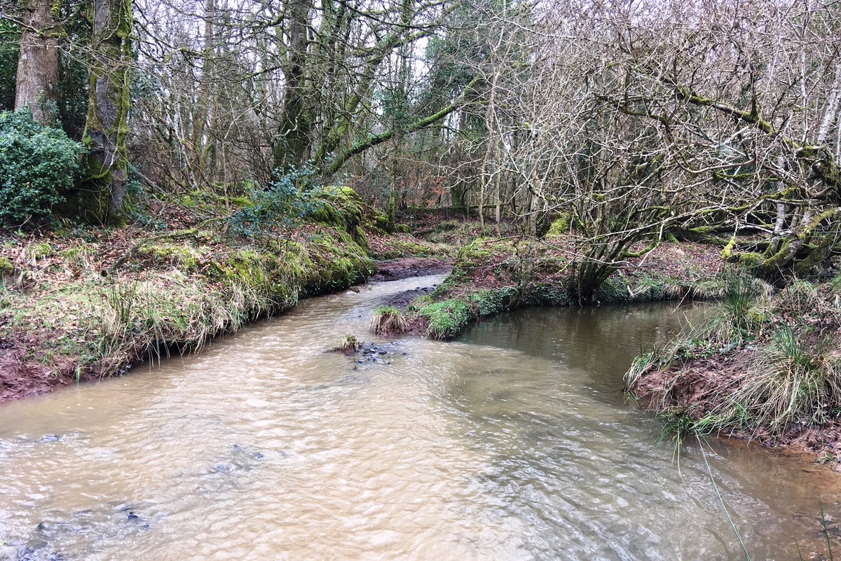 EAEcologySW's tweet photo. Who'd have thought that this unexpected fountain of #water could have this much impact to the #river downstream?! #environmental #monitoring #catchment #walkover #survey Happy to say issue all resolved @BruceNewport1  @EnvAgencySW https://t.co/Mp5nIl1R0s