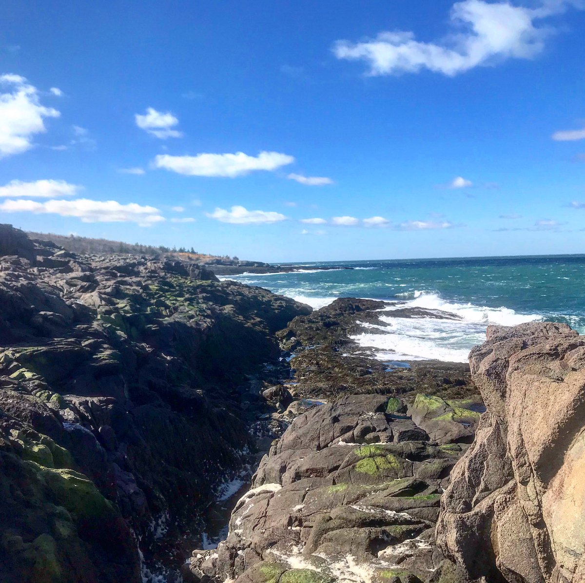 #wavewatching at #PointPrim. #DigbyNovaScotia #BayofFundy #digbyrocks #visitnovascotia