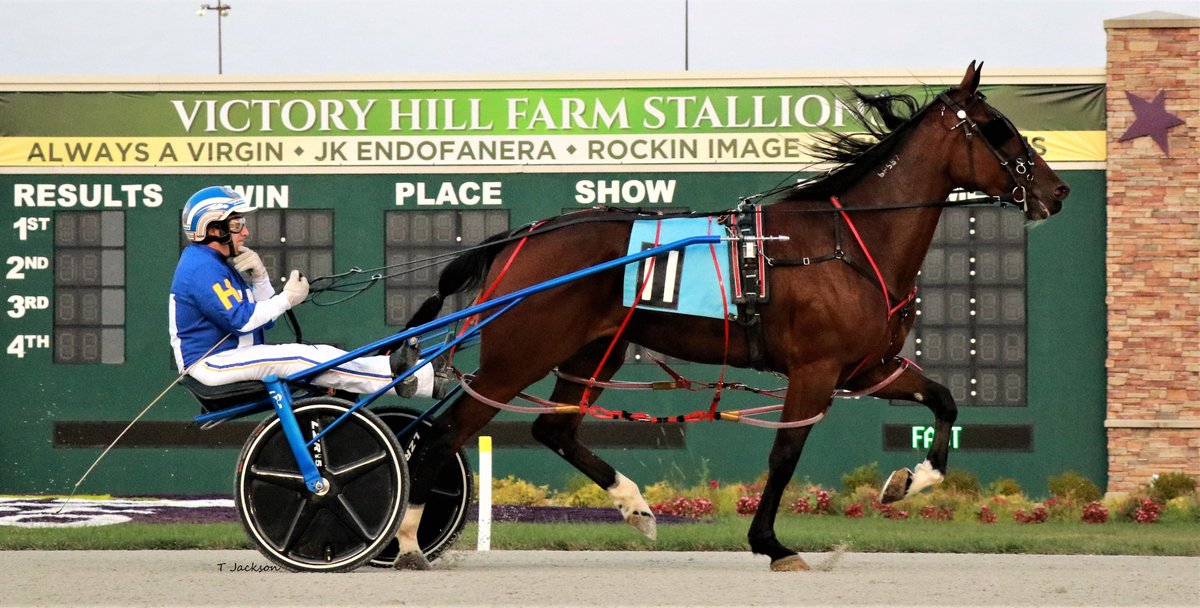 hoosiernations's tweet photo. Good Morning @Chris_wponies @JoannKi32885615 @rebelsart @jtlburn @kimberlymoier @KathleenBaitzel @joe_norte @elliotgordon2 @SadandSulk @vnssa926 @dolenski_john @GlenPeckinpaugh @BradA53472906 @racing_fillies @INStandardbred @HoP_Racing #ShadysStarlight #DaleHiteman https://t.co/b594XrdMWr