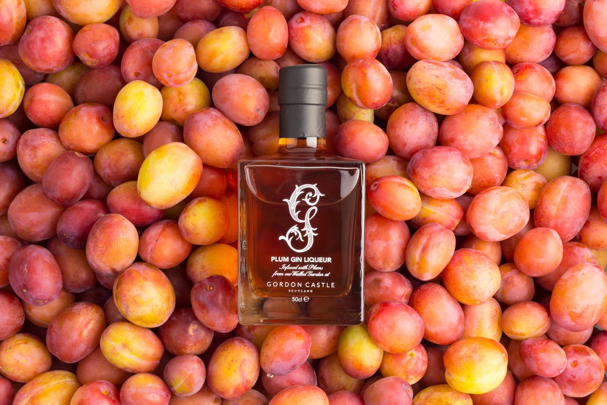 DrinkGordonCastle tweet media