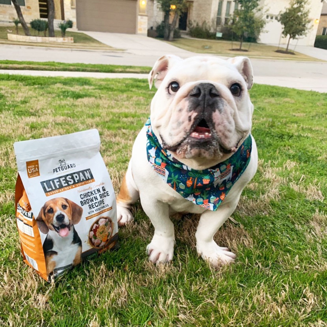 Good boys get the best food. We hear that Winston loves our dry dog food.
.
.
.
So glad you do, sweet boy.
.
.
.
#PetGuard #PetGuardians #dryfood #wellness #goodboy #dog #dogsofinstagram #dogs #dogstagram #ilovemydog #cute #adorable #instapup #doglover #puppylover #dogfeatures