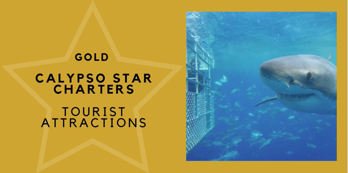 tourismawards's tweet photo. Calypso Star Charters @sharkcagediving is named Australia’s BEST TOURIST ATTRACTION at the 2019 @Qantas Australian Tourism Awards @QATAINFO. #QATA19 #eyrepeninsula #portlincoln #tourism #southaustralia https://t.co/YXUUeHof65