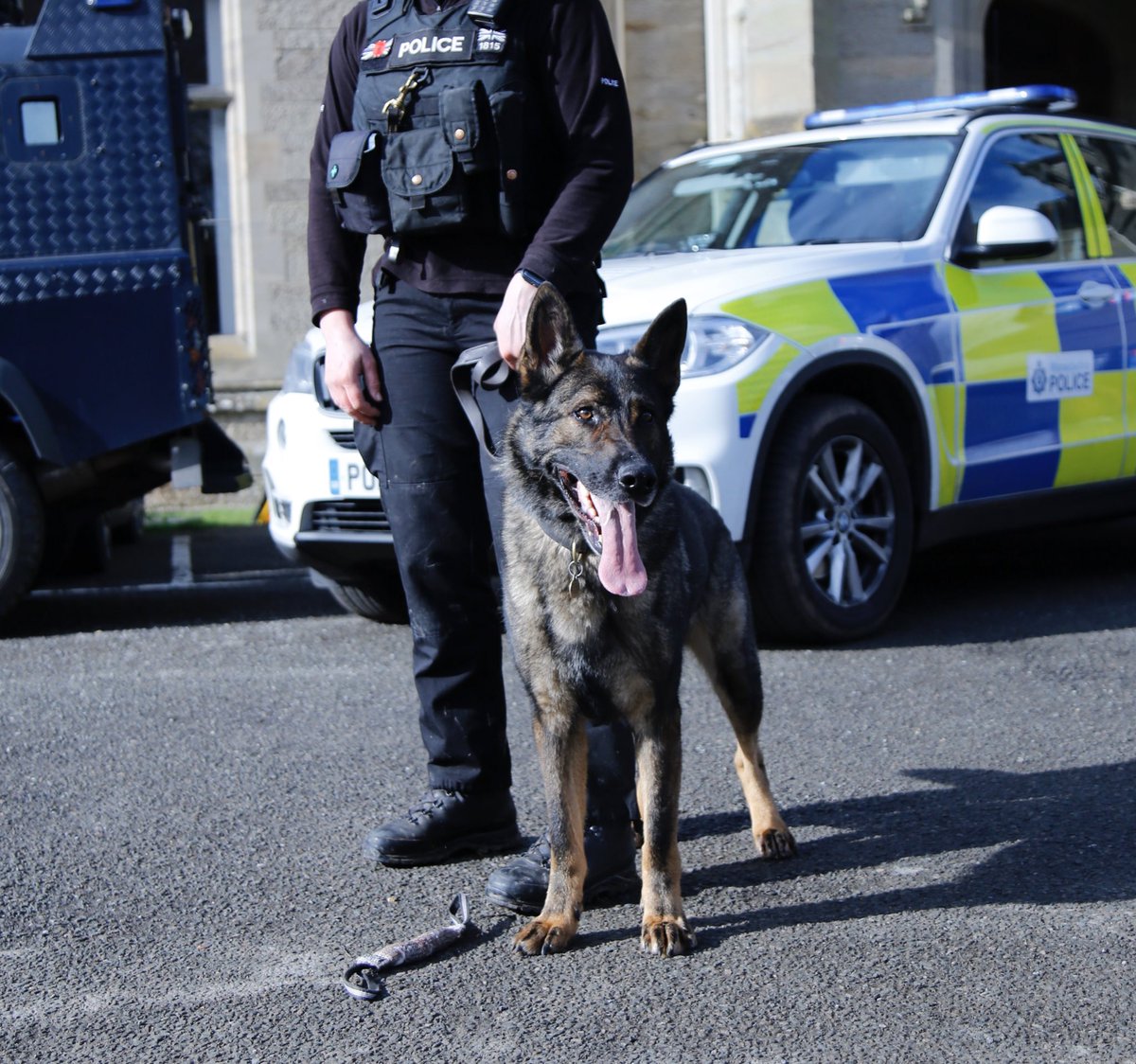 amydeemo's tweet photo. Between night shifts but one of our ARV sgts sent a couple of lovely photos of Duke heโd took. Going to enjoy the last year working him & itโs great to have a photo of his โwork faceโ as all I see is a wagging tail from my end of the lead! ๐ถ๐#PDDuke #FSD #CrewMate #GiftDogToPD https://t.co/MZGbtdzhB4