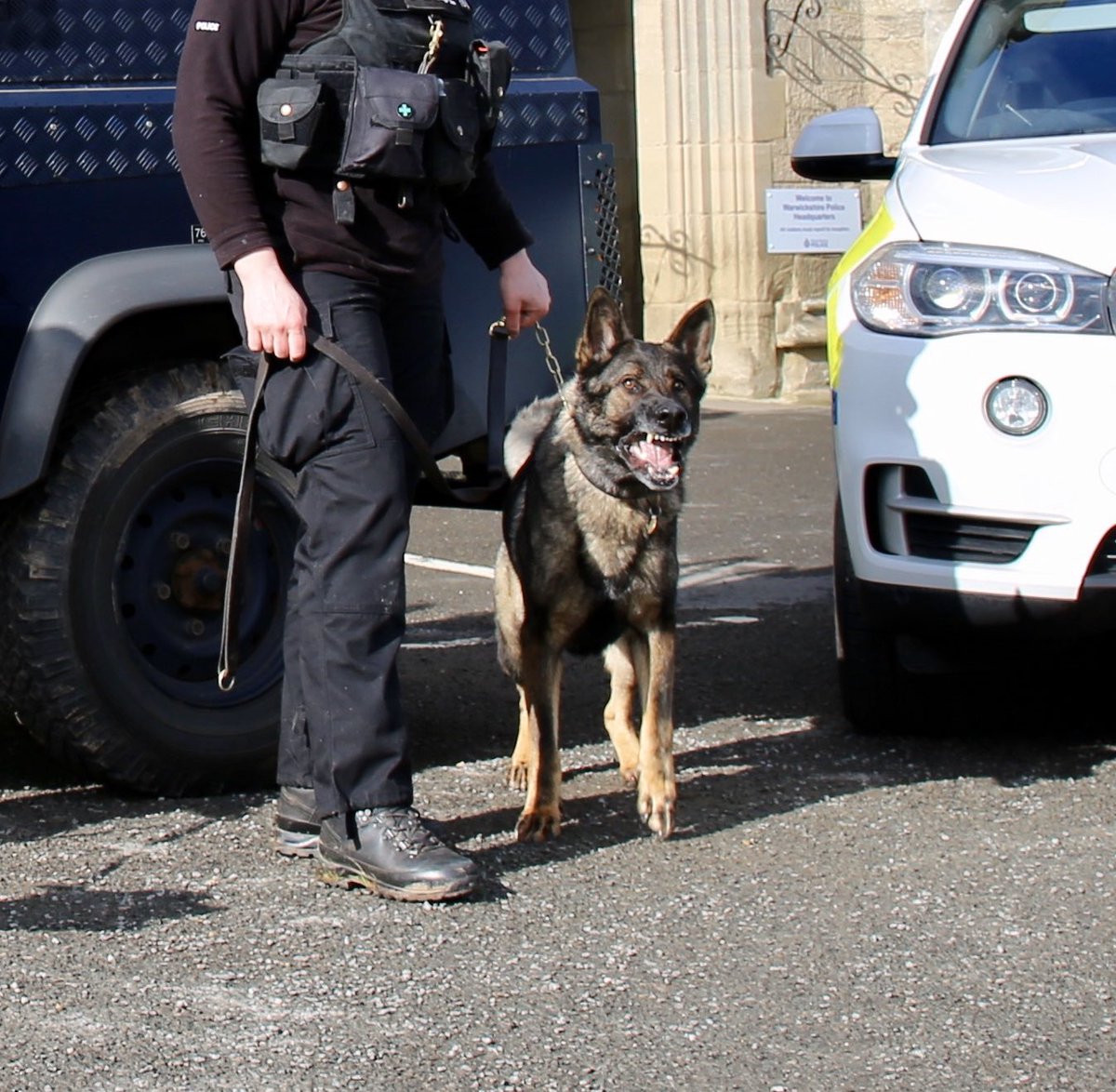 amydeemo's tweet photo. Between night shifts but one of our ARV sgts sent a couple of lovely photos of Duke heโd took. Going to enjoy the last year working him & itโs great to have a photo of his โwork faceโ as all I see is a wagging tail from my end of the lead! ๐ถ๐#PDDuke #FSD #CrewMate #GiftDogToPD https://t.co/MZGbtdzhB4