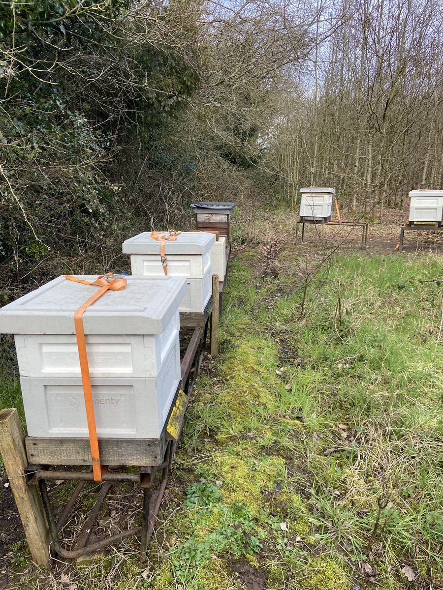 How life is so beautiful down in Tipperary an honesty box for your honey <a href="/defaoite88/">John White</a> <a href="/Sinead_Smyth_/">Sinéad Germaine-Smyth</a> <a href="/Killenuredexter/">KillenureDexterBeef</a> @57theheadline <a href="/cpodowd/">cpodowd</a> <a href="/mistereatgalway/">Dr. Jp McMahon</a> <a href="/allthefood_/">All The Food</a> <a href="/gnevillechef/">Graham Neville</a> <a href="/SpitalfieldsDub/">spitalfields_dub</a> <a href="/SpinelliManuela/">Manuela Spinelli</a> <a href="/Aimsir_Rest/">A I M S I R</a> <a href="/Thebankbar/">The Bank Bar Dublin</a> <a href="/SineadByrne7/">Sinéad Byrne</a>