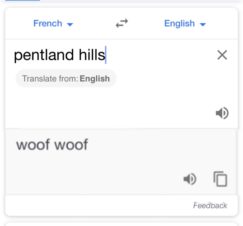ryanOTHx's tweet photo. It’s really interesting finding out what these French names at Cheltenham actually translate to. https://t.co/iabev2eDkl