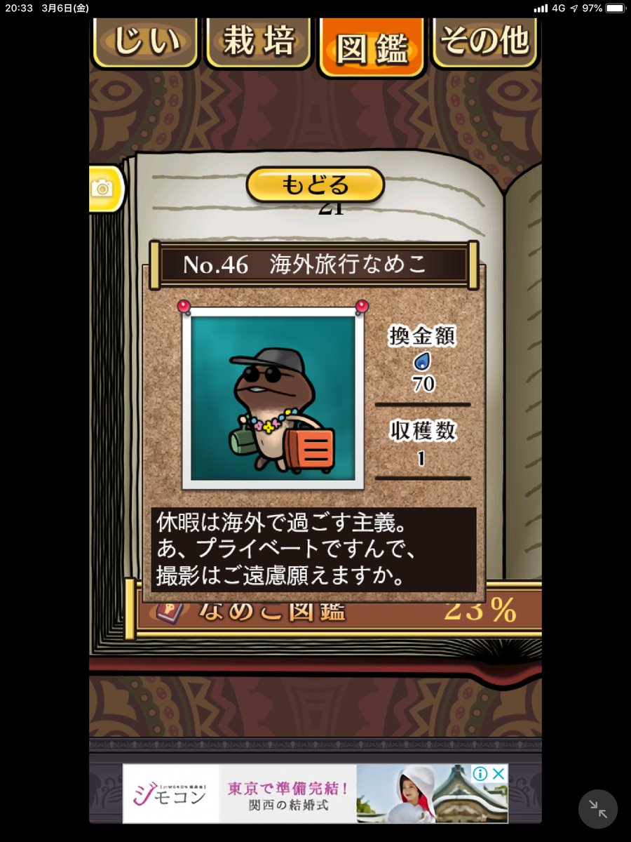 なめこshd なめこshd