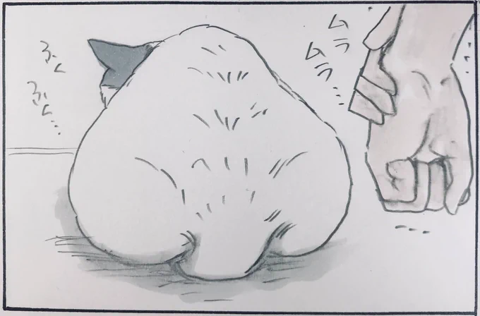 『魅惑の猫尻』 