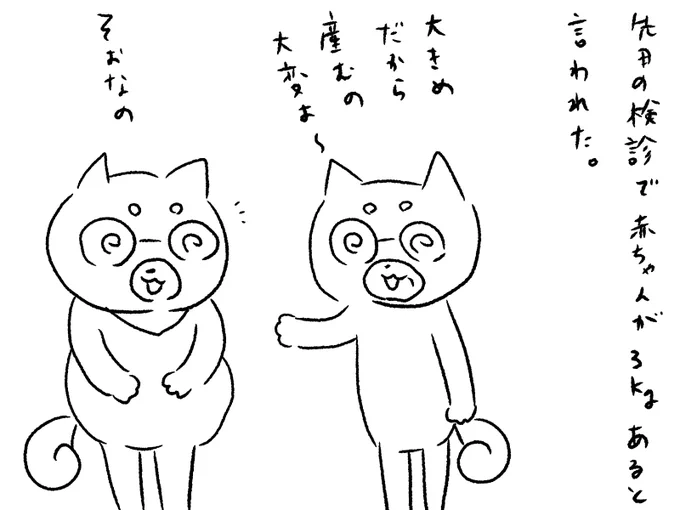 出産予定日は20日くらいなのですが、もう赤ちゃんは3000gあるそうです。
これ、産むのすごーく大変なんじゃないだろうか・・・と不安です。 