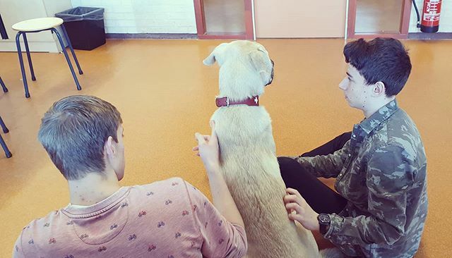 Tijdens de pauze even de hond gezelschap houden❤🐶