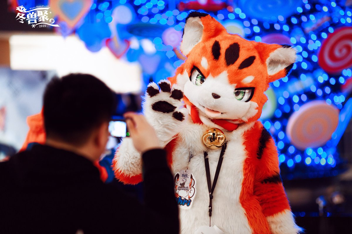 furrychina's tweet photo. #SFF2019 #WFF2019 #FursuitFriday 
かわいい二人の写真（SFF2019)
カンディクリスマスツリー（WFF2019)

写真 by @chungou_cn https://t.co/rBhWwwzW3h