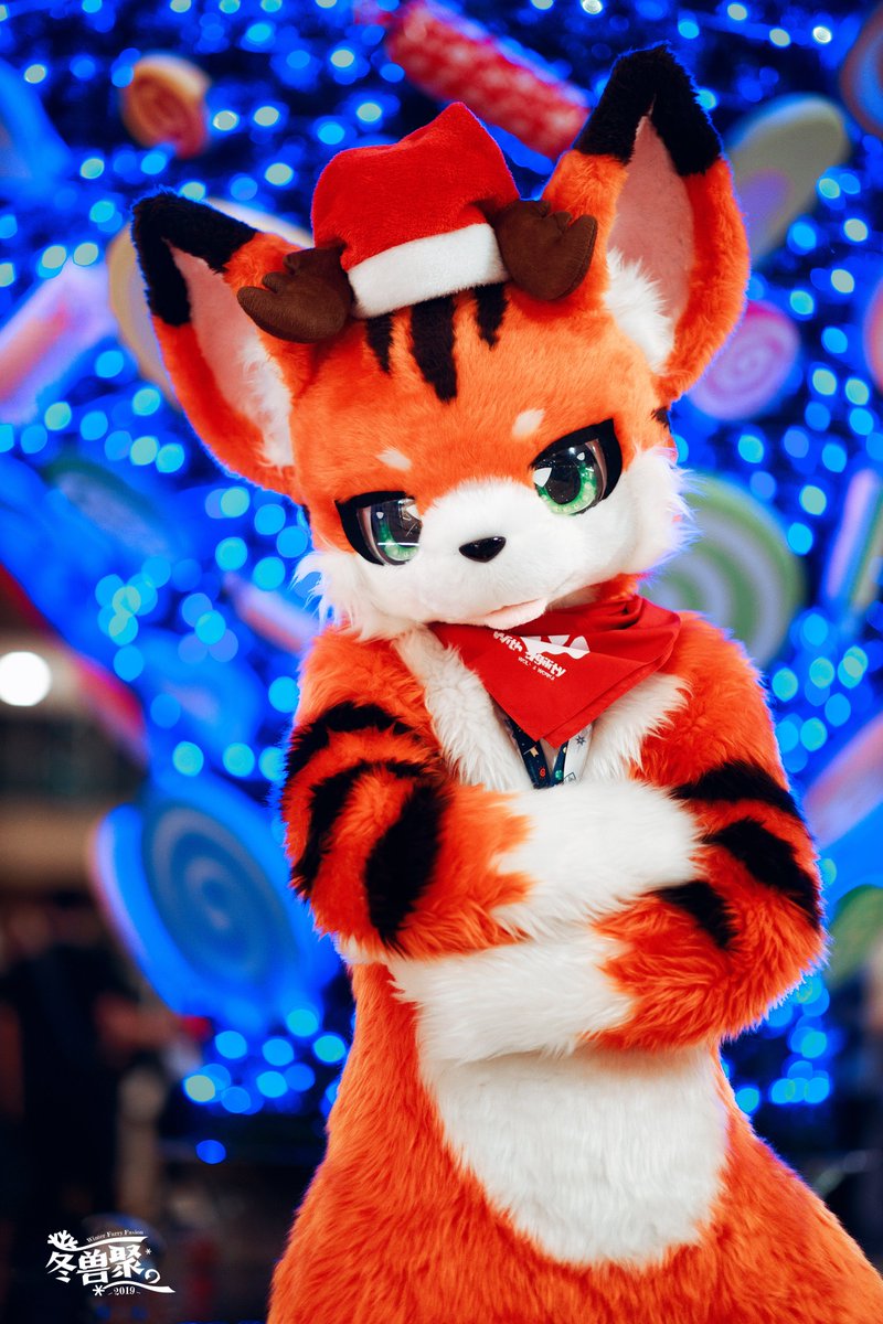 furrychina's tweet photo. #SFF2019 #WFF2019 #FursuitFriday 
かわいい二人の写真（SFF2019)
カンディクリスマスツリー（WFF2019)

写真 by @chungou_cn https://t.co/rBhWwwzW3h