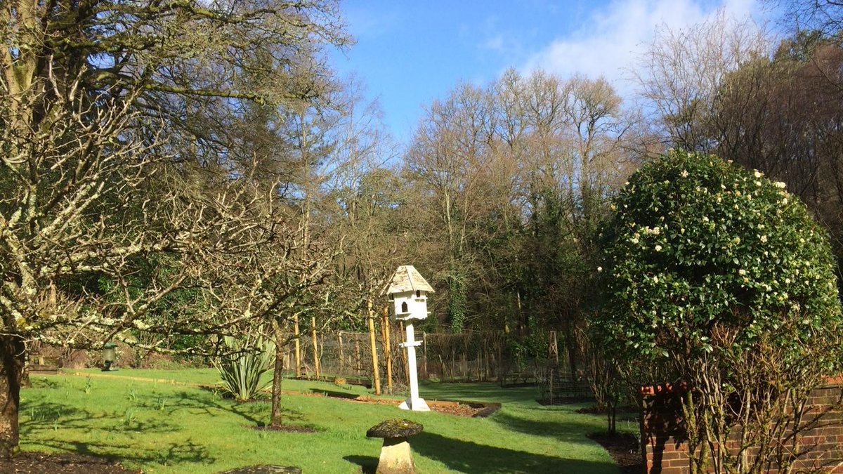 Our Client’s property in #Hindhead, waiting for #spring…
The Transform Garden Maintenance Team has been carefully pruning, shaping and nurturing over the winter months to prepare for spring.
#surreygardens #springgarden #gardenmaintenance #pruning #waitingforspring #fruittrees
