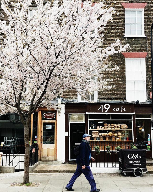 SmallAcornsBlog's tweet image. blossom time #signsofspring ift.tt/32WWvAz