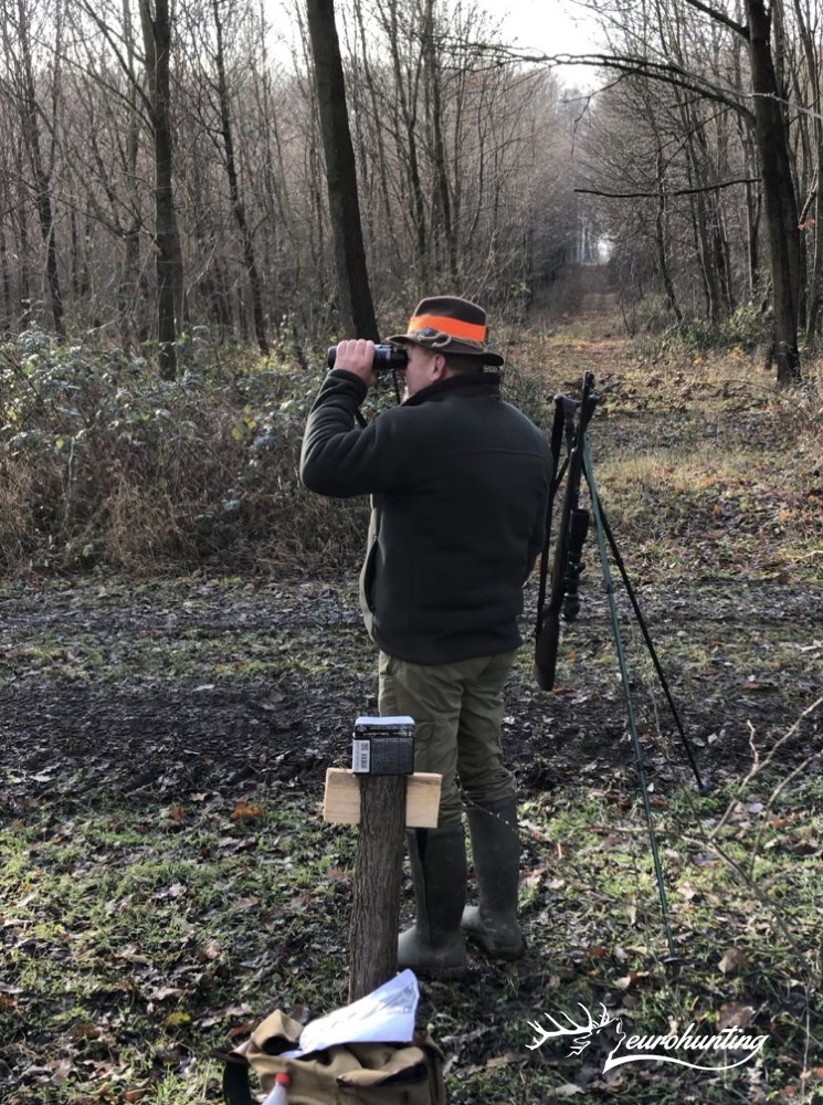 eurohunting's tweet photo. #Terelővadászatok 2019/2020, #Riegeljagden 2019/2020, #Drivenhunts 2019/2020 https://t.co/lsE531lGsD