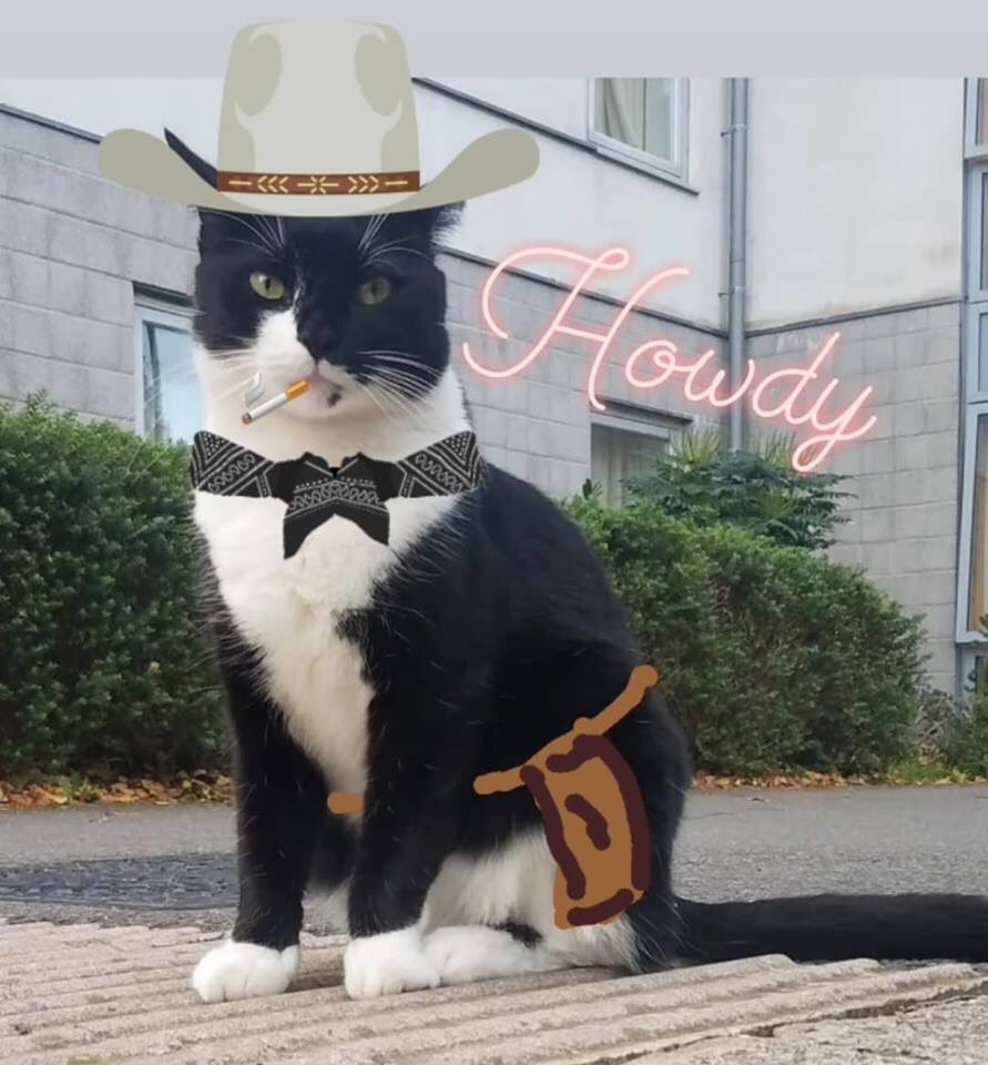 UniKentShelly's tweet photo. You know that we have a postgrad cat @Unikent, right? A few years ago, he made me start a FB page for him. We crowdsource most of the pics, but all of the writing is strictly Gandalf’s. Give him a follow and he’ll bestow academic blessings upon you: https://t.co/cdoDK3Xn2W https://t.co/4bpdwBXxzl