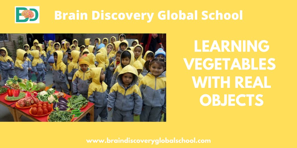 brain_discovery's tweet photo. Learning the right foods to eat while younger can promote a lifetime of your kids about the importance of fruits, vegetables, and healthy eating.
#healthyhabits #eating #vegetables #fruits #realobjects #preschool #daycare #activity #learning #curriculum #curricularactivity https://t.co/3OD4P7GfTt