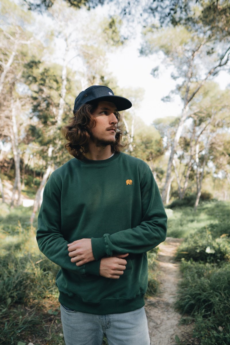 Trendsplant's tweet image. #ColorMeaning: Green, is the color of life, renewal, nature, and energy, is associated with meanings of growth, harmony, freshness, safety, fertility, and environment. ⁠
⁠
⁠
soo.nr/g6CU