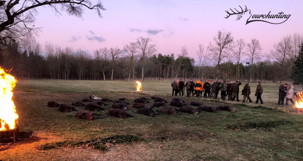 eurohunting's tweet photo. #Terelővadászatok 2019/2020, #Riegeljagden 2019/2020, #Drivenhunts 2019/2020 https://t.co/WT4A57JdVC