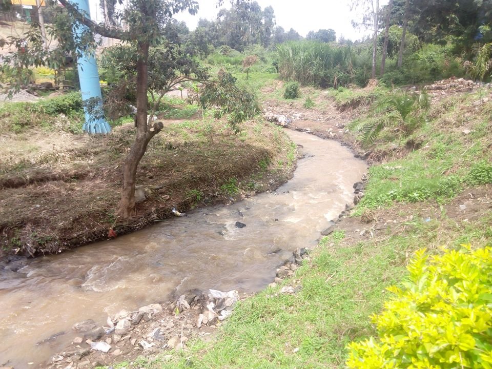 Consumers_Kenya's tweet photo. This Sunday will be our week 9 of #MbagathiriverCleanUp. Time is 8am to 1pm, meeting point; Masai Lodge Stage-Ongata Rongai. Please find time to join us keep Mbagathi River breathing. @gp_kenyagroup @unep @NETFUNDkenya @ntsa_kenya @NemaKenya @Environment_Ke #CleanUpWeek9 https://t.co/d1lc29foA2