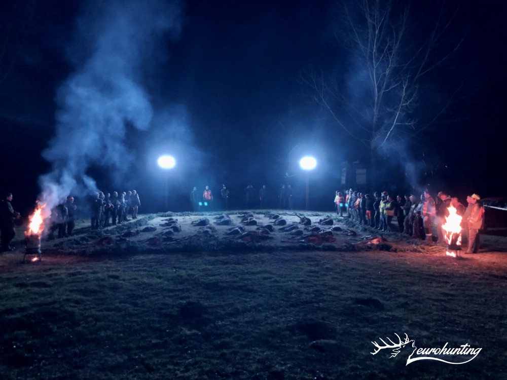 eurohunting's tweet photo. #Terelővadászatok 2019/2020, #Riegeljagden 2019/2020, #Drivenhunts 2019/2020 https://t.co/hxgfdkUp7A