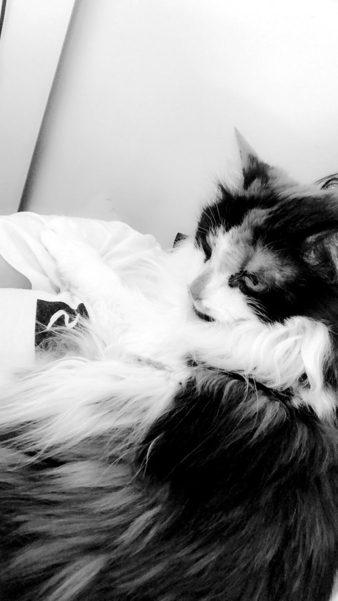 I miss you... everyday is still so hard without you next to me...