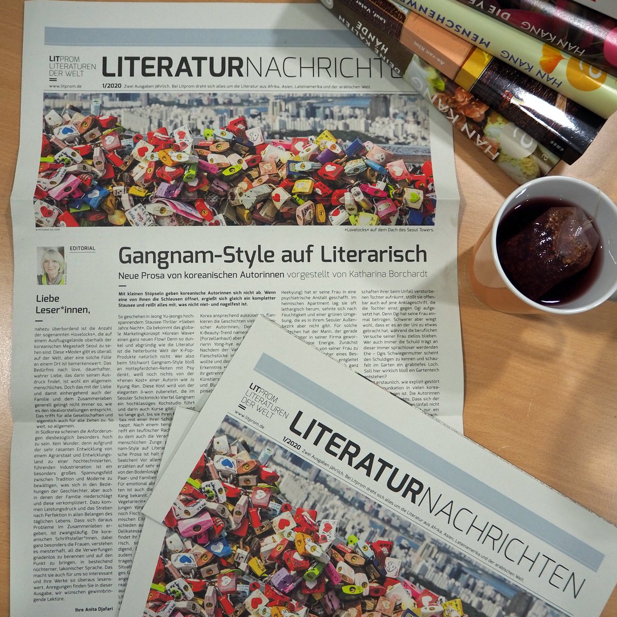 Heute in der @tazgezwitscher : unsere LiteraturNachrichten zum Thema Koreanische Autorinnen! Was waren eure ersten Begegnungen mit koreanischer Literatur? #korea #literatur #autorinnen #hankang #taz #parasitemovie #koreanischeliteratur