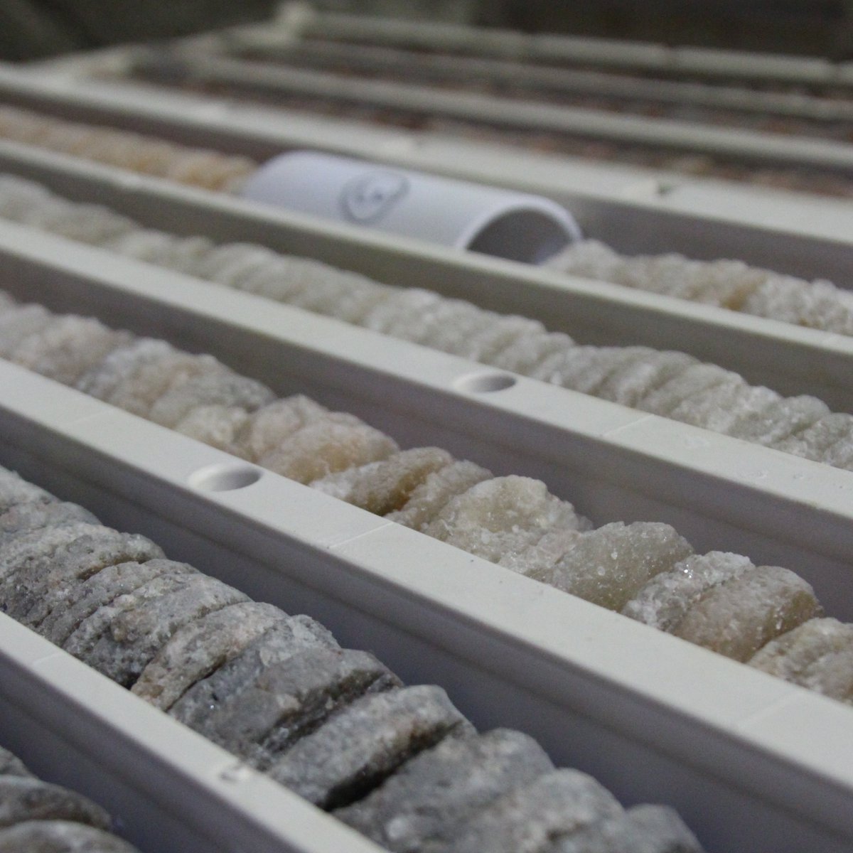 BoulbyLab's tweet image. Our boreholes couldn&apos;t be less boring 😎

Take a look at these core samples taken from over 1km below the North York Moors ✨@iclboulby #MINARVIII #coresample