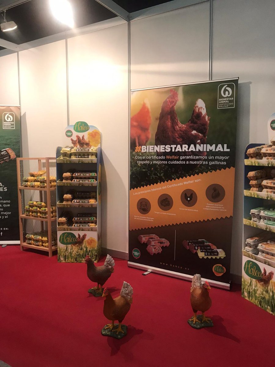 Hobeahuevos's tweet photo. ¡Ya tenemos todo listo! Desde hoy hasta el domingo, os estaremos esperando en @Gustoko_BEC
Os invitamos a pasar por nuestro stand en el @BEC_Bilbao , disfrutar de la calidad de #Hobea y conocer más sobre nuestro #BienestarAnimal 💚
#Gustoko #BEC https://t.co/AM7dr22fp9