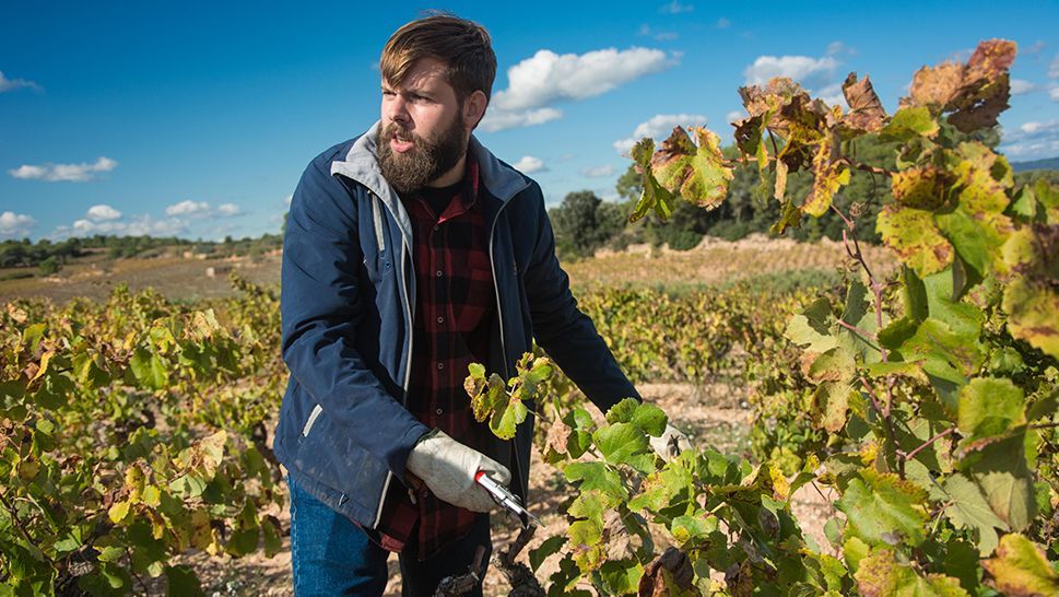 clusterinnovi's tweet photo. “És important que tant el viticultor com l’enòleg coneguin tots els processos del producte”. En @RocGramona ens va explicar tot sobre l'Acadèmia de #Poda. Dóna un cop d'ull al nostre blog i coneix la @AcademiaPoda: https://t.co/PvFoKrDEgp #INNOVI https://t.co/WuueaLkNBz