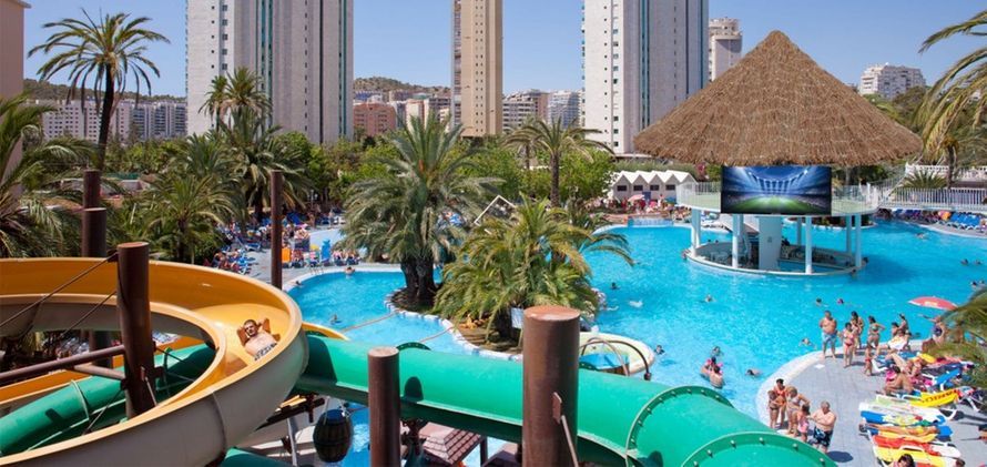 Global Hoppers tweet media