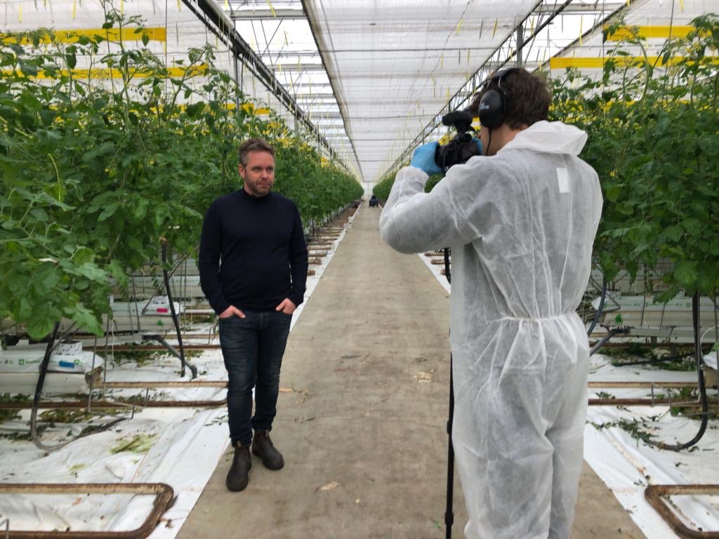 Vandaag laatste filmopnames afgerond binnen thema vergroenen en tuinbouw voor <a href="/iperen_nl/">Van Iperen</a> bij tomatenkwekerij Marcel van den Berg met Marcel en <a href="/Iperen_Edwin/">Edwin Datthijn</a>. Binnenkort het resultaat! #vergroenentuinbouw