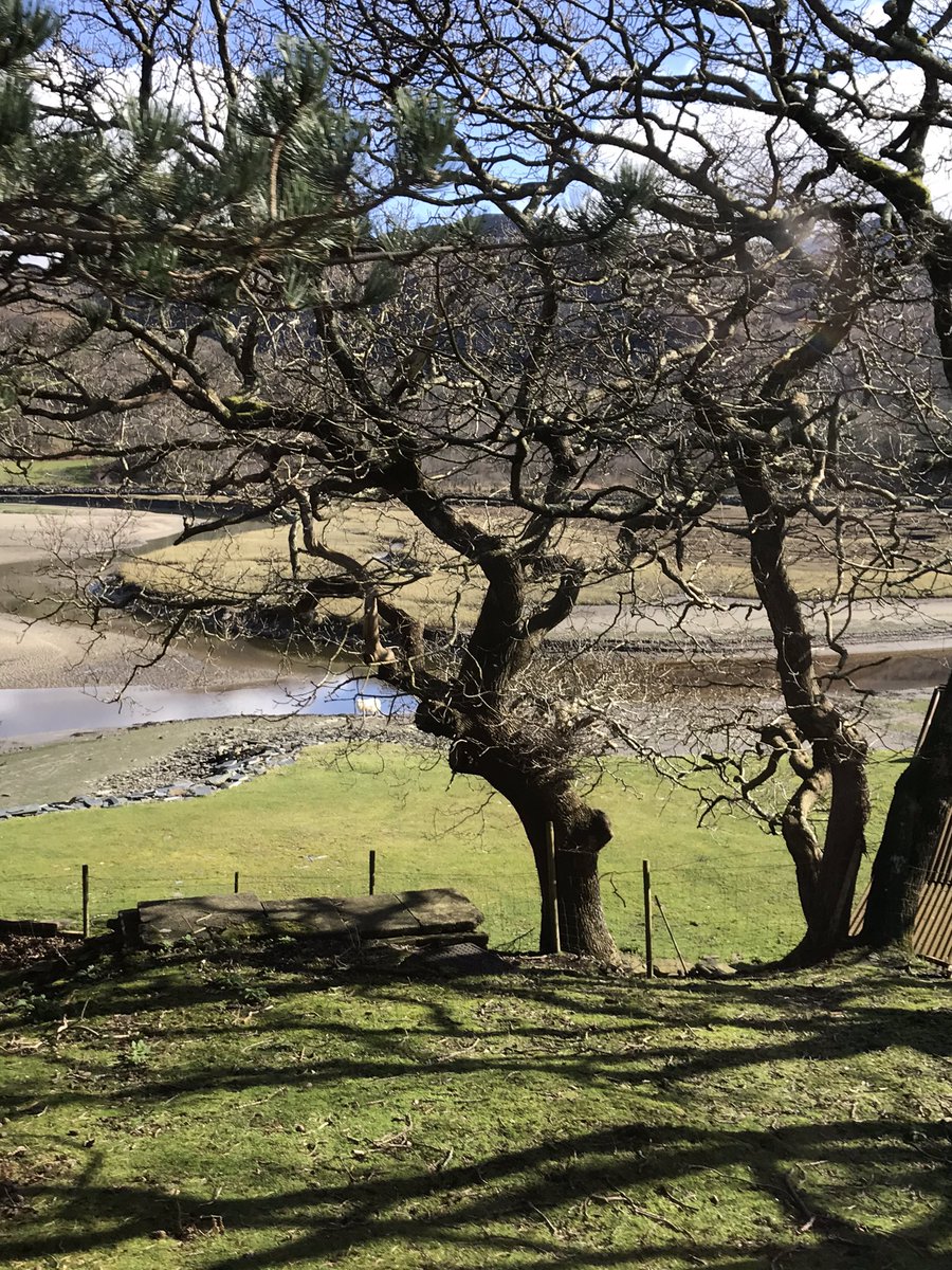 MinBick's tweet photo. Leaving now. Havi g lunch at Bala as weather is so beautiful :) https://t.co/m4AmUnB7wr