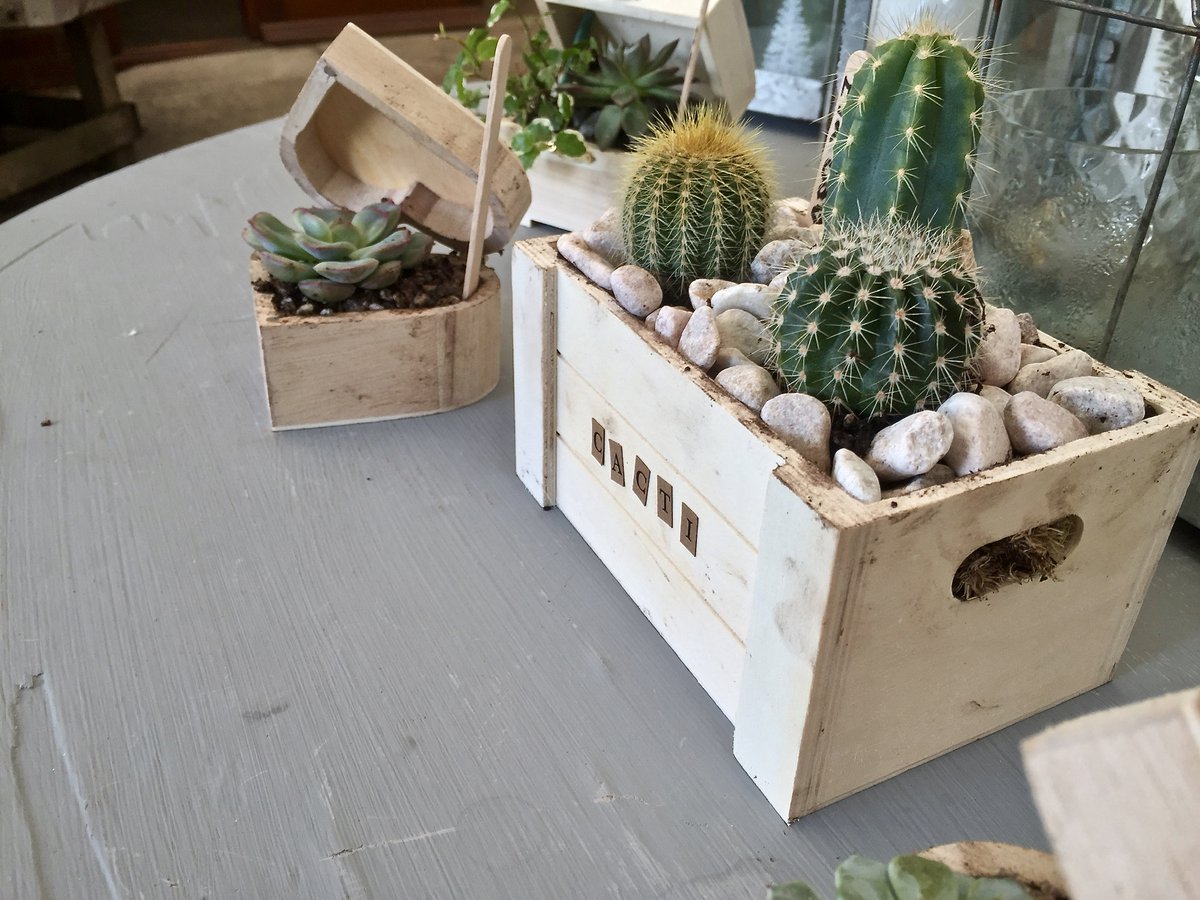 Grab a beautiful new look for your home this weekend at #TheAlfrescoStyle Garden Boutique. Just look at these cute cacti and succulent wooden planters. 🌵😍
Created in-store, by us.
#IndoorPlants #Warwickshire