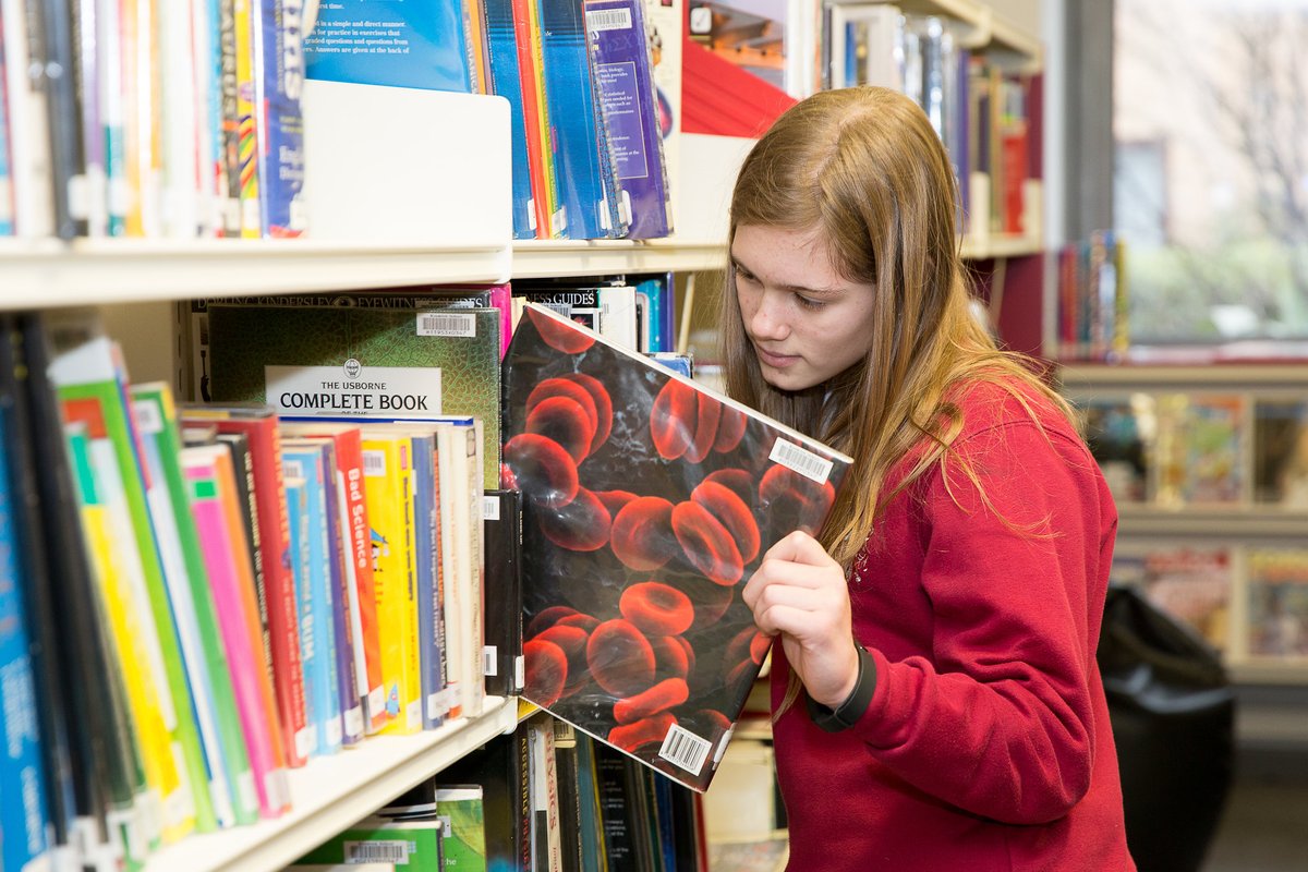 Kendrick School tweet media