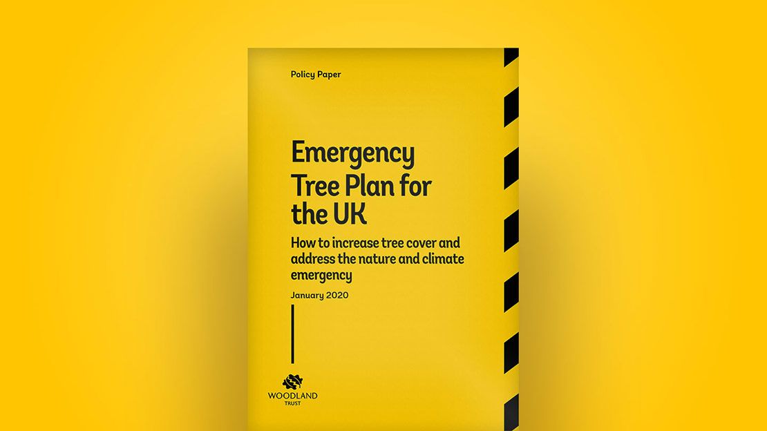 WTBridget's tweet photo. Woodland &amp; trees are vital to achieve net zero carbon &amp; biodiversity net gain. Needs a joined-up local plan incorporating new woodland, agroforestry,  natural regeneration, hedgerows and urban tree cover.  Our @WoodlandTrust #EmergencyTreePlan can help! https://t.co/ZcO7pFUnCj https://t.co/4tgETw91ty