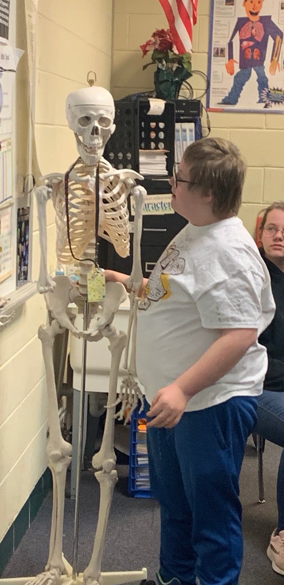 HarlemMS's tweet photo. Health students learning the bones of the skeleton. https://t.co/bOwfFSpm2L