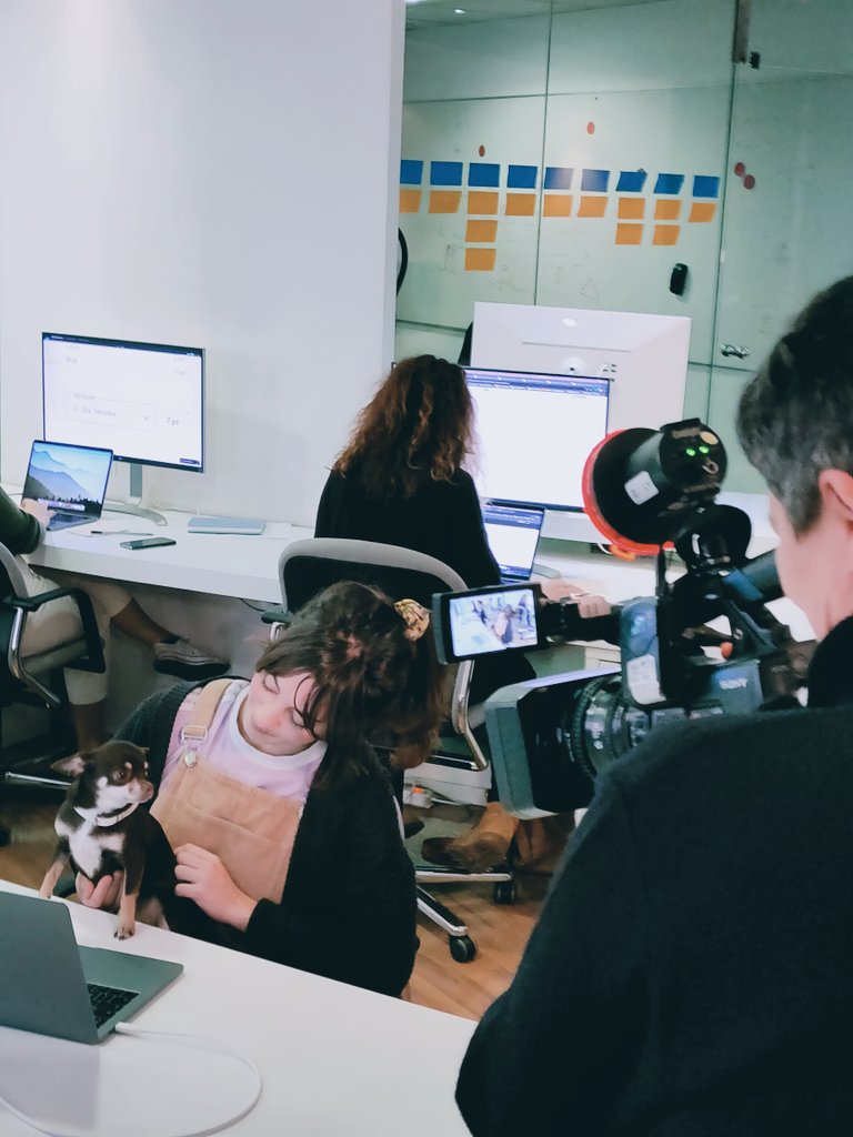 redbility's tweet photo. ¡Como #DogManager se encarga de ayudar a nuestros diseñadores a revisar sus proyectos! https://t.co/Tv4jzRn0GU