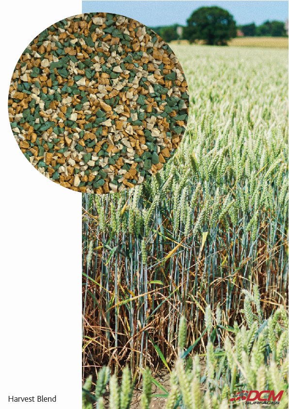 DCM Surfaces tweet media