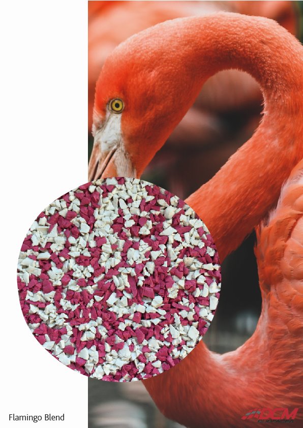 DCM Surfaces tweet media