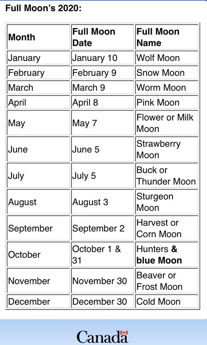 Shane100degrees's tweet image. March’s impending full moon means I don’t sleep. I’ve been awake since 3:35. Ok bake #bananabread for your period 3 #mathgroup #chocolatechips to the left #walnuts to the right #WormMoon2020