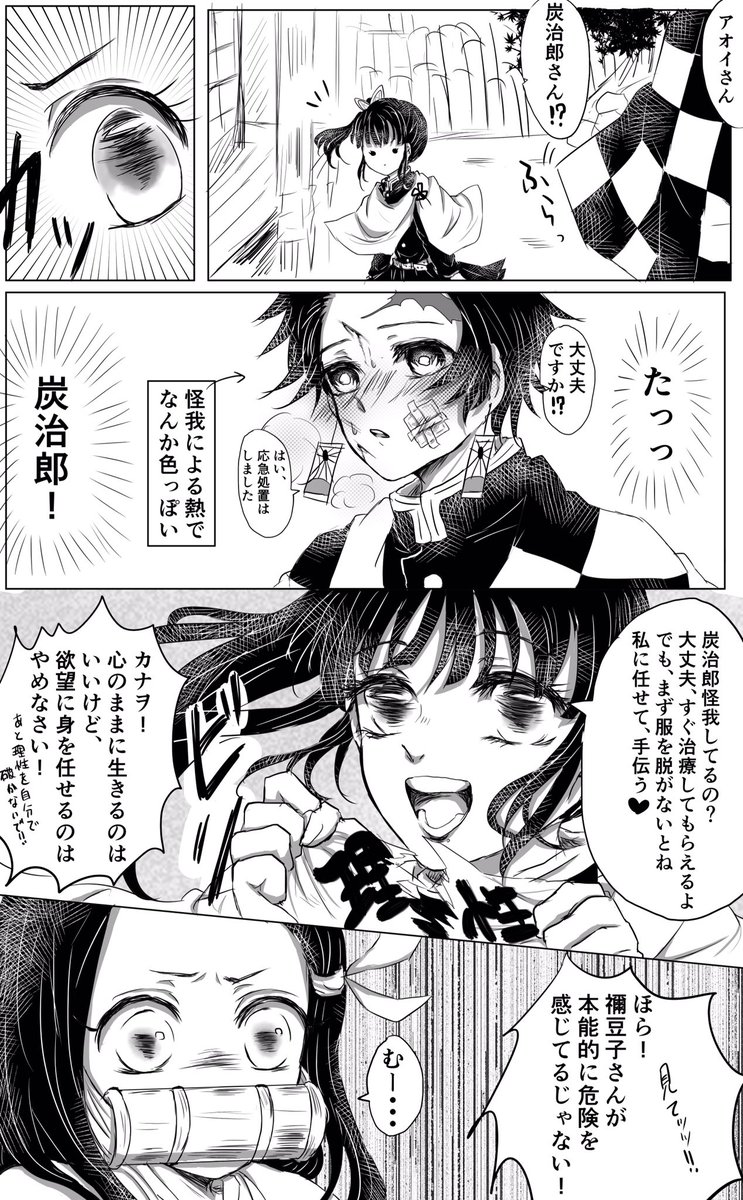 「アオイさんになら」
*カナ炭、アオ炭、禰豆炭です
*女子×炭治郎なので女の子が攻めです
*ギャグです(頭を空にして下さい) 