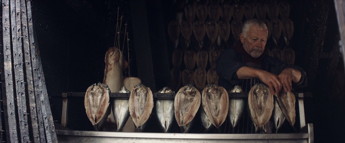 Orillo Films tweet media