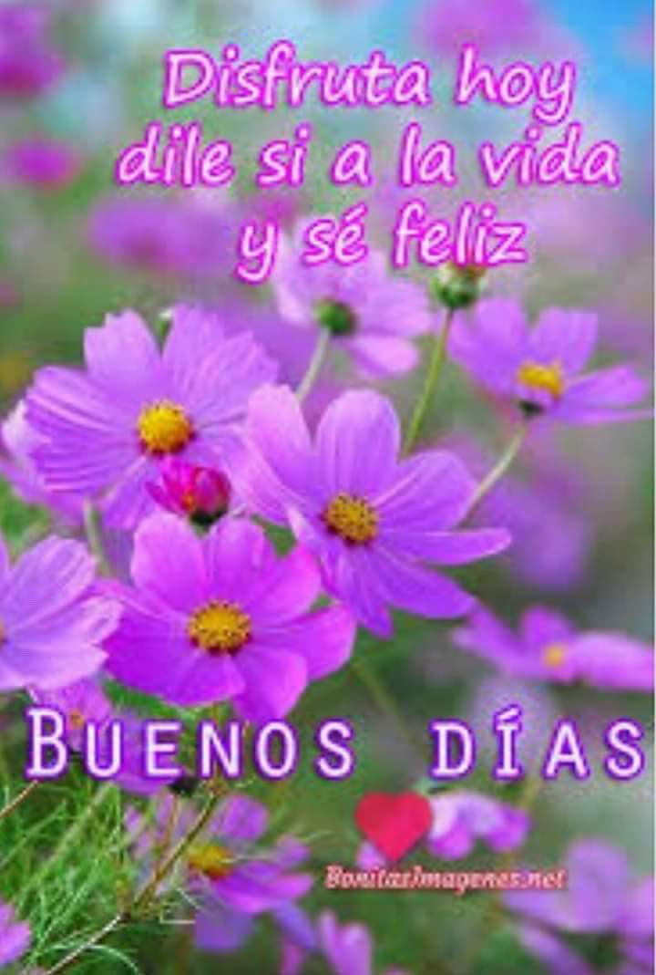 EunicePonce's tweet photo. https://t.co/l9GGUI98L0