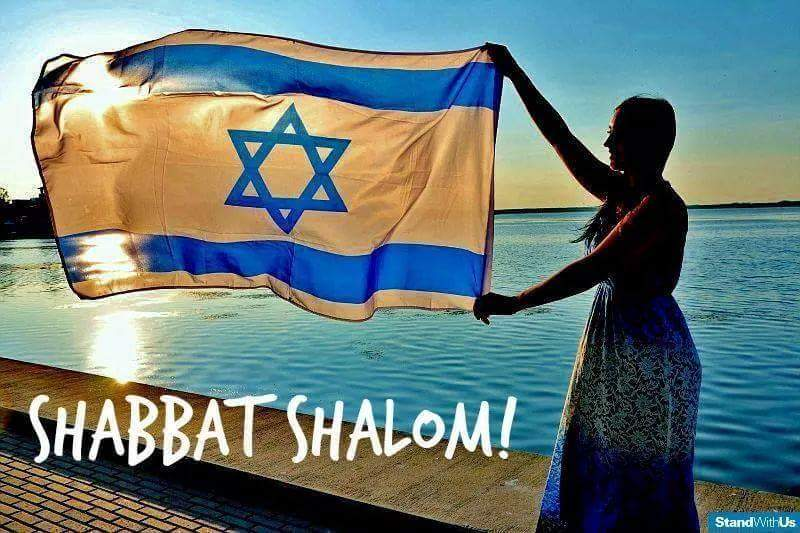 🆂🅸🅻 סיל 🕎🇮🇱✡🟦🎗 tweet media