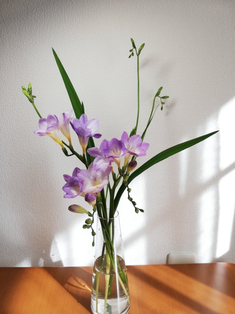 えんとせん 最近在宅勤務です 家でも花を飾りますよ 淡い紫の フリージア 素敵な色 家なのでいつもより大きめ花瓶だけど まあまあ それなりにまとめられた気がする 今週のデスクの花 切り花 T Co Bvmcbx6who Twitter
