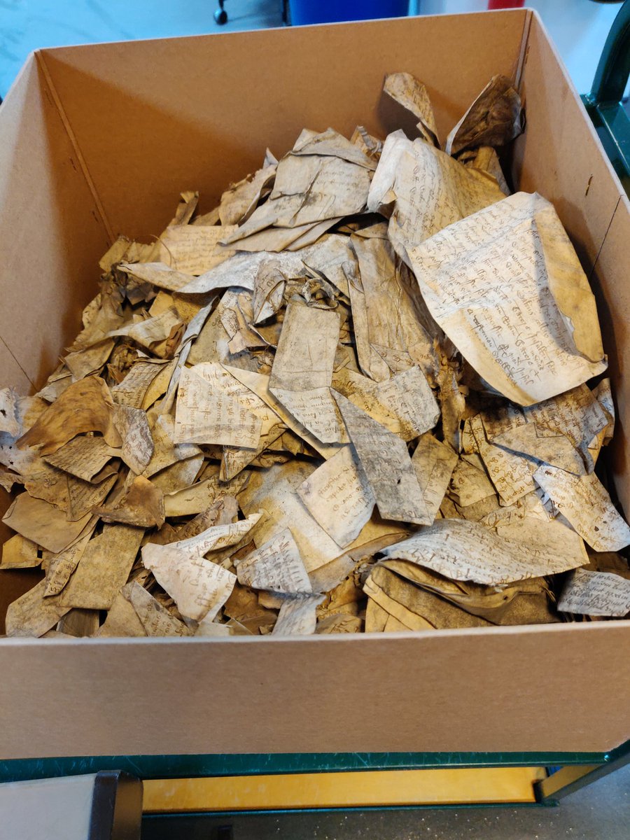 pablodiablo74's tweet photo. Today @MascioAda and I are on the fast track to respiratory problems. The dust from this writ sack is enough to stop an elephant #ExtremeCataloguing #CommonPleas #PuttingOnTheWrits https://t.co/sOOcrpw0GB