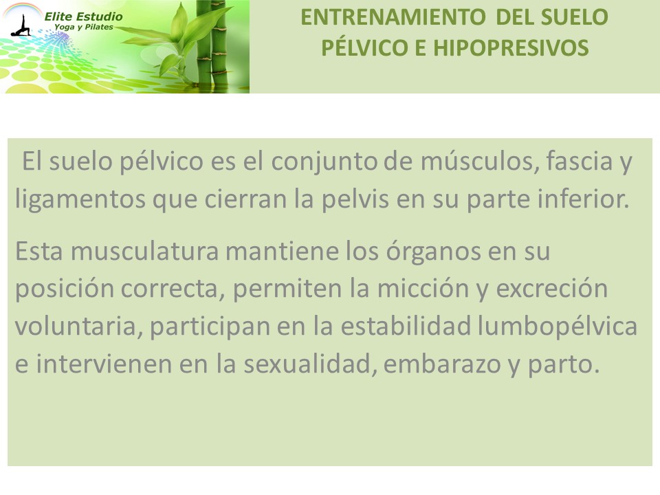 EliteEstudio's tweet photo. Clases de Hipopresivos y Suelo Pélvico en Moratalaz
Elite Estudio Yoga y Pilates
https://t.co/39014yNWvP
Contacto 644514310
LLamanos y reserva tu plaza https://t.co/4uQWkDAwYZ