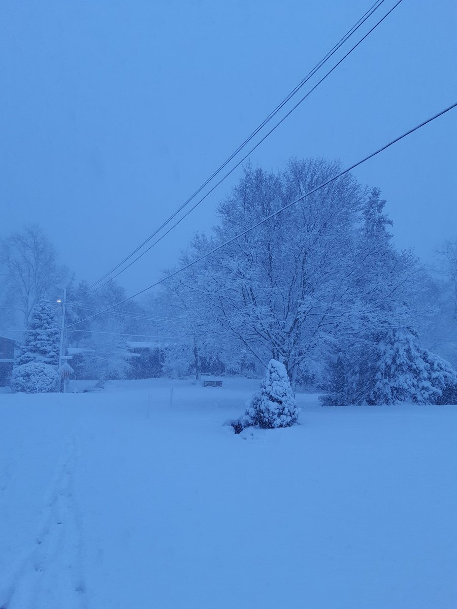 Not expecting to wake up to this...what a beautiful surprise!! The dogs are happy too! #LoveWhereYouLive